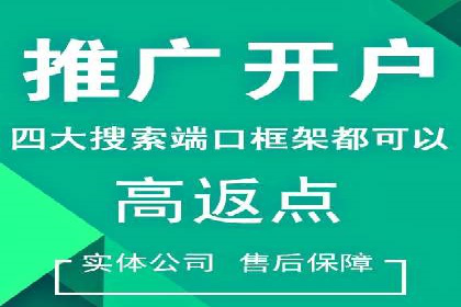 实战案例：如何利用百度推广拓展市场份额